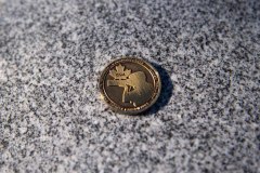 A symbolic coin representing the Imagery Technician trade, presented during the memorial commemoration of Sergeant(Retired) Nadine Manning, who was the last remaining Imagery technician that served in World War 2.  This photo was taken at Lakehead Cemetery in Point-Claire, Quebec on November 6th, 2021.

Please credit: Cpl Thomas Lee, Canadian Forces Combat Camera, Canadian Armed Forces Photo